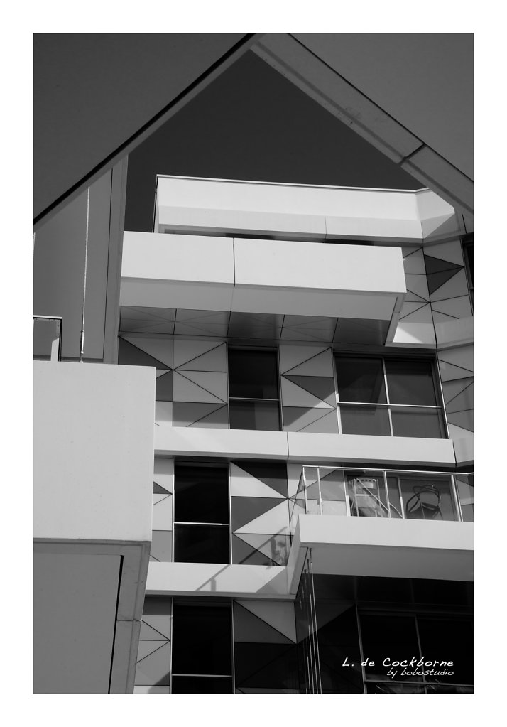 DSC-7446.jpg